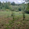 Pozemok Skároš 580 m2 – Košice okolie