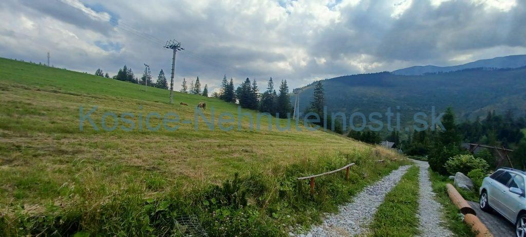 Predaj pozemok Ždiar 1867 m2 intravilán parcela C