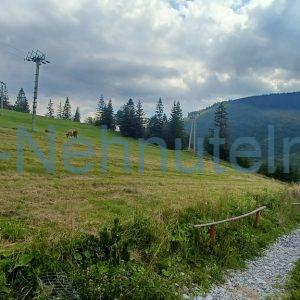 Predaj pozemok Ždiar 1867 m2 intravilán parcela C