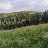 Zháňam chatku pri Košickej Belej alebo pozemok na stavbu do 1000 m2