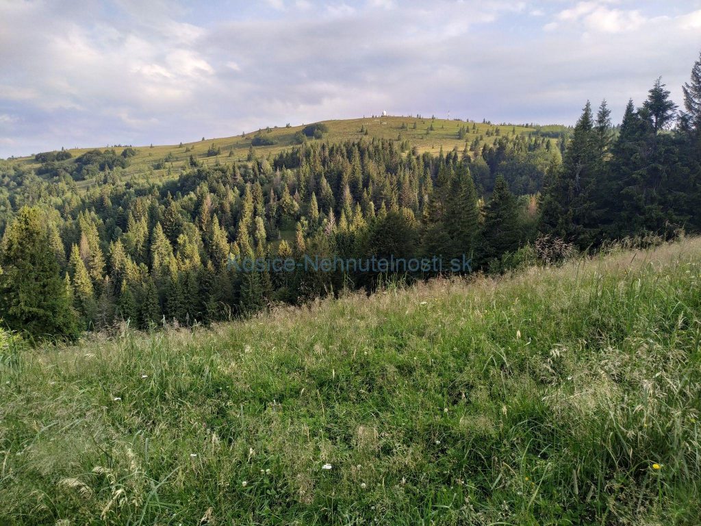 Zháňam chatku pri Košickej Belej alebo pozemok na stavbu do 1000 m2