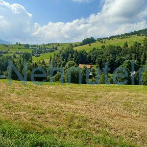Predaj pozemok Ždiar 1200 m2 stavebná parcela C - intravilán