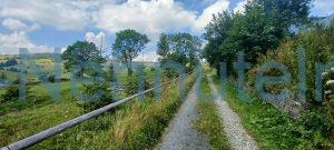 574 1 1209 m2 predaj pozemok zdiar intravilan 3