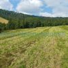 Predaj pozemok Ždiar 3322 m2 na hranici intravilánu