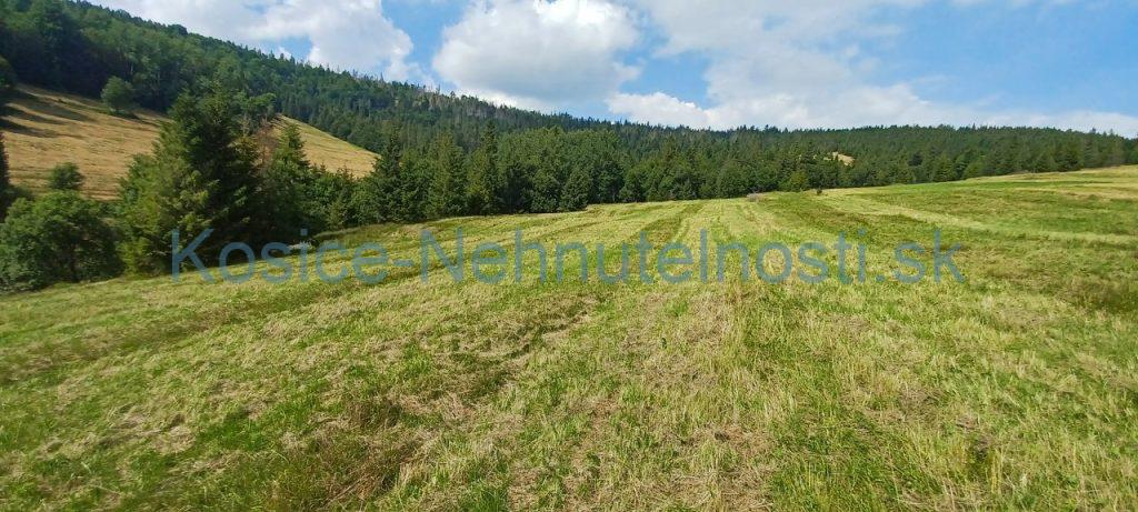 Predaj pozemok Ždiar 3322 m2 na hranici intravilánu