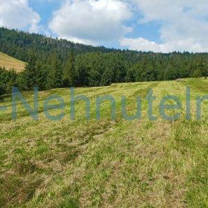 Predaj pozemok Ždiar 3322 m2 na hranici intravilánu