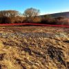 Pozemok 627 m2 v chatárskej oblasti Sečovce smer Dargov