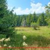 Pozemok na predaj 292 m2 Ždiar v mladom lese