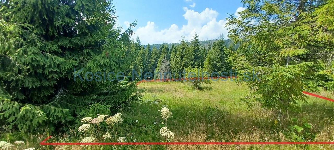 Pozemok na predaj 292 m2 Ždiar v mladom lese