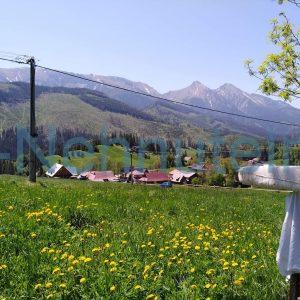 Chalupa na predaj Ždiar s pozemkami celkom 6563 m2