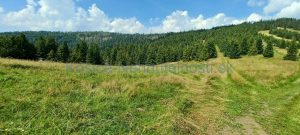 Zdiar predaj pozemok10 copy 1280x576