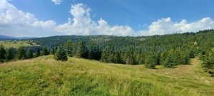 Zdiar predaj pozemok9 copy 1280x576