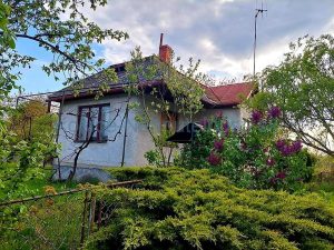 dom predaj trhoviste michalovce 48