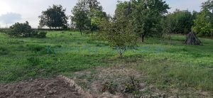 predam pozemok kosice gynov