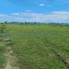 Predaj pozemok 645 m2 Sokoľany - Košice
