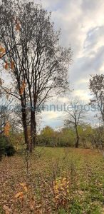 predam pozemok kosice cizatice 8