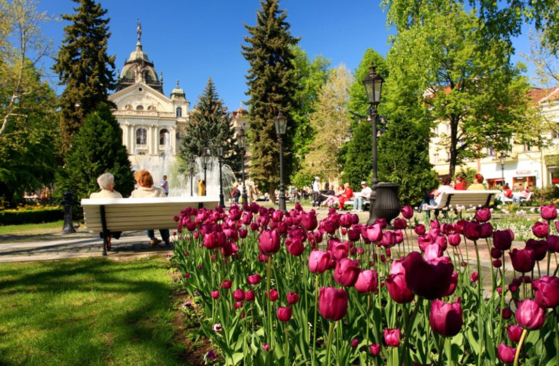 kosice mesto